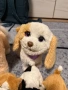Интерактивни мини животинки Furreal friends лот, снимка 6