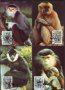 Виетнам 1987 - 4 броя Карти Максимум - WWF, снимка 1 - Филателия - 38890494