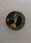 Значка на пожарникари-водолази "Vigili del Fuoco Sommozzatori" Италия., снимка 2