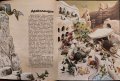 Боско: Приказки за горските обитатели, джуджетата, великаните, феите, дяволчетата и драконите , снимка 2