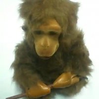 Плюшена маймуна, говоряща, снимка 1 - Плюшени играчки - 39282650