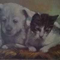стара картина-коте и куче на дончо владков, снимка 1 - Картини - 30542181