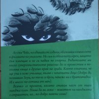 Дневникът на един нинджа. Книга 1: Кланът на нинджите - Маркъс Емерсън, снимка 2 - Детски книжки - 38676435