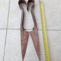 Стара ножица за стригане на овце, снимка 1 - Антикварни и старинни предмети - 35158619