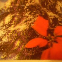 стара коледна новогодишна зимна картичка  стерио ЯПОНИЯ , снимка 7 - Колекции - 38865069