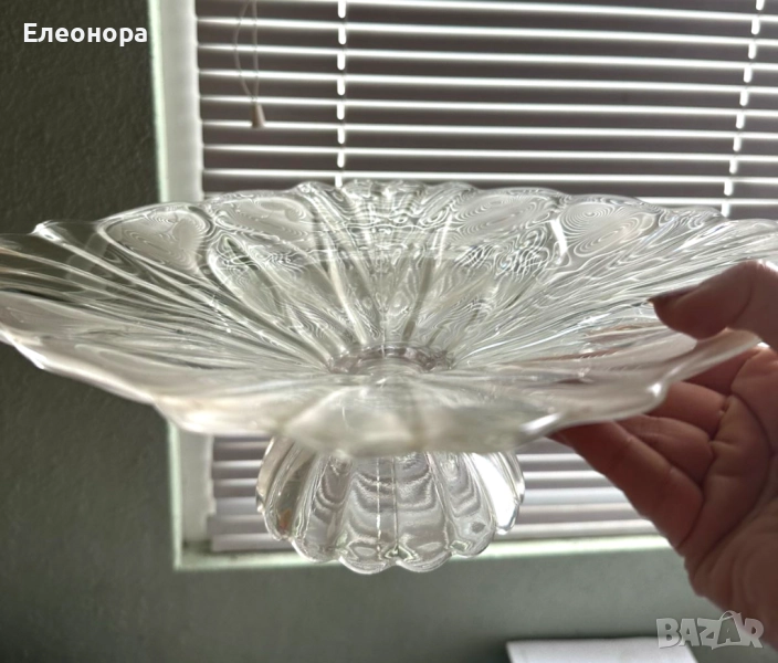 голяма и красива фруктиера, снимка 1