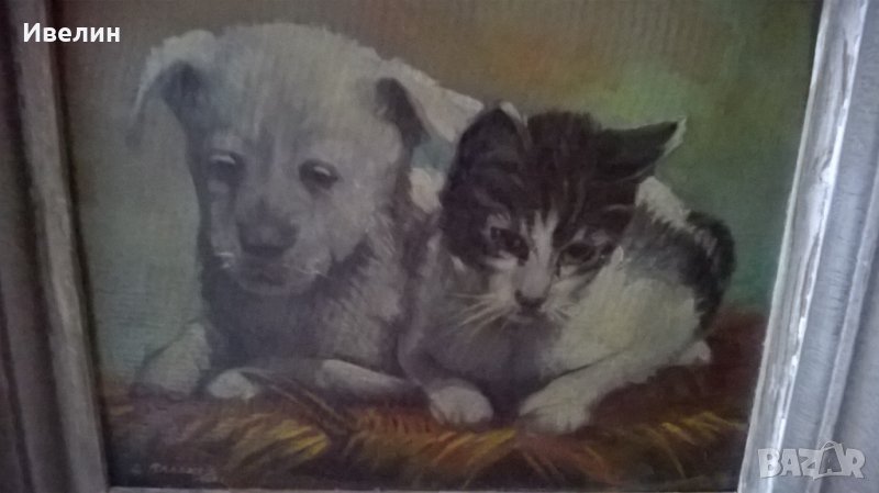 стара картина-коте и куче на дончо владков, снимка 1