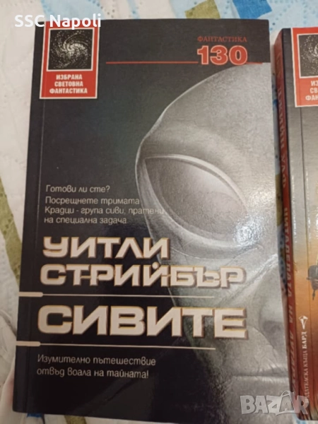 ИСФ ''Сивите'', снимка 1