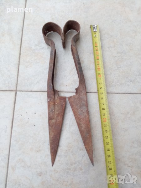 Стара ножица за стригане на овце, снимка 1