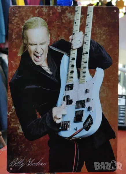 Billy Sheehan-метална табела (плакет), снимка 1