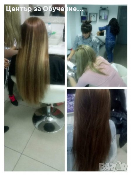 Колористика Обучение , снимка 1