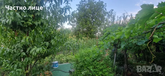 Продавам къща в село Строево, снимка 6 - Къщи - 56464452