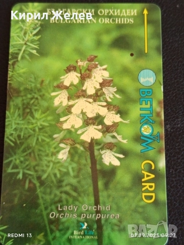 Две фонокарти серия ЦВЕТЯ ОРХИДЕЯ редки за КОЛЕКЦИЯ ДЕКОРАЦИЯ 48658, снимка 5 - Колекции - 51630439