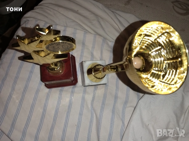 купи и наградни медали, снимка 10 - Колекции - 52479901