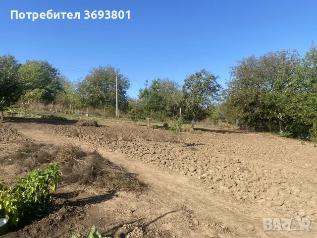 дворно място без постройка, снимка 3 - Парцели - 56120198
