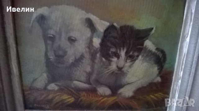 стара картина-коте и куче на дончо владков, снимка 1 - Картини - 30542181
