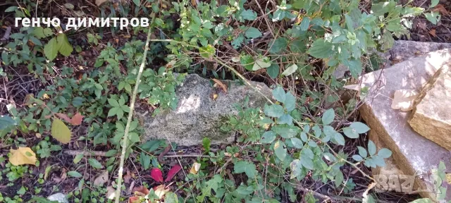 дялани камъни и стъпала, снимка 8 - Строителни материали - 47468663