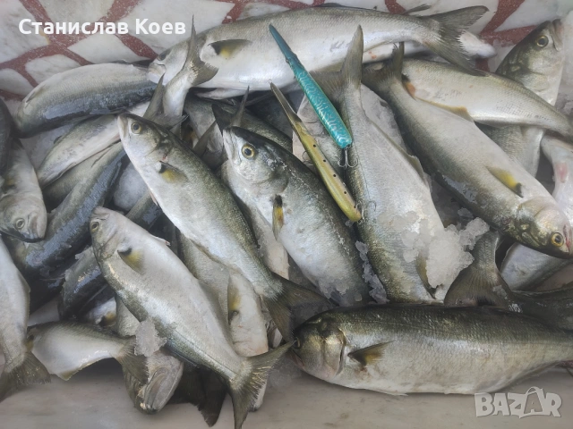 воблери за морски рибилов Глайдер 160, снимка 9 - Такъми - 54358104