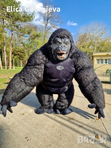 Парти Горила