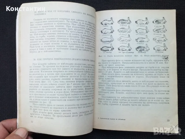 Практически съвети за зайцевъди, снимка 3 - Специализирана литература - 49977736