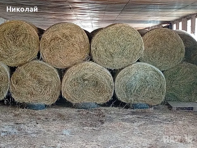 Продавам бали Люцерна 2026 
