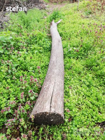 ОРЕХОВА Дървена греда , снимка 2 - Други - 40379729