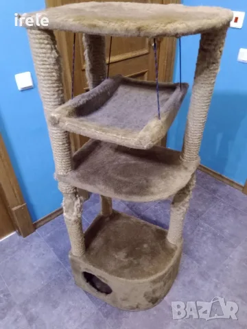 Котешка кула, подарявам