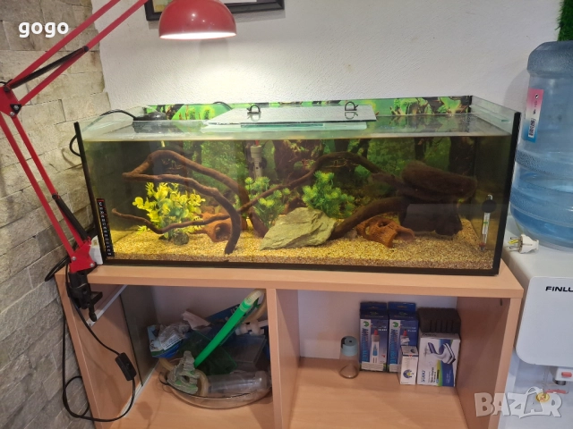 Три  Аквариума , снимка 9 - Аквариуми - 50487180