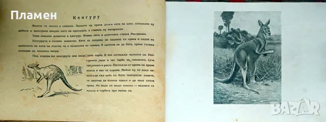 Горски животни Ценко Цветанов /1945/, снимка 3 - Антикварни и старинни предмети - 56167696