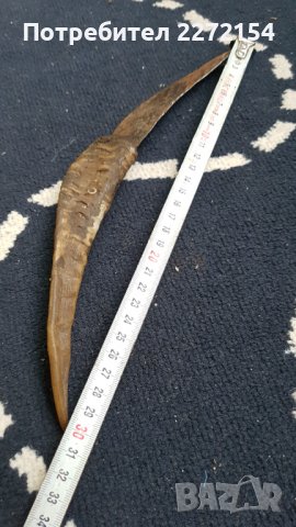 Кама нож кози рог, снимка 4 - Антикварни и старинни предмети - 39433404
