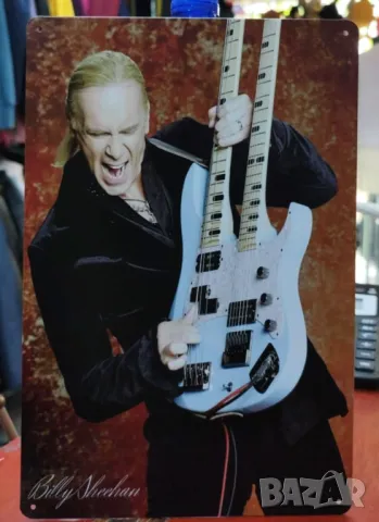 Billy Sheehan-метална табела (плакет)