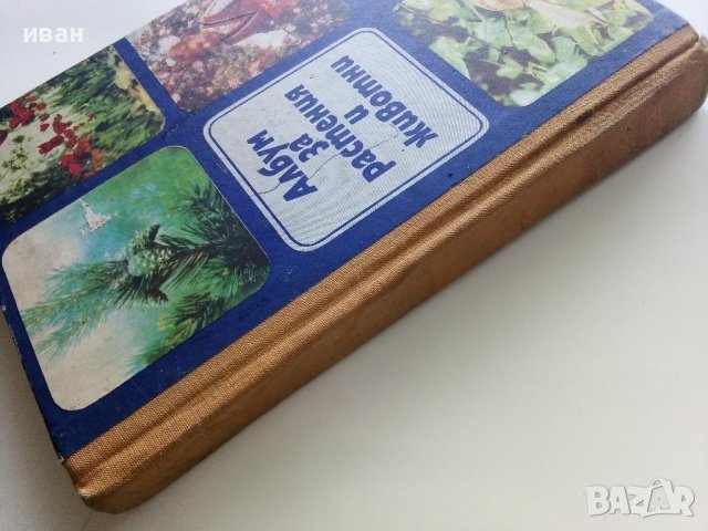 Албум за растения и животни - Н.Боев,С.Петров,П.Кръстев - 1976г., снимка 11 - Енциклопедии, справочници - 40616804
