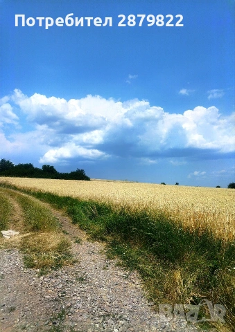 Продава се урегулиран поземлен имот с площ 656 м2, с. Храбърско, общ. Божурище, снимка 3 - Парцели - 53053229