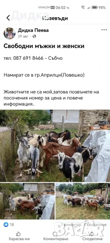Свободни мъжки и женски