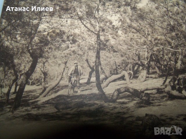 Стара пощенска картичка от Lacanau Франция, снимка 3 - Филателия - 42798300