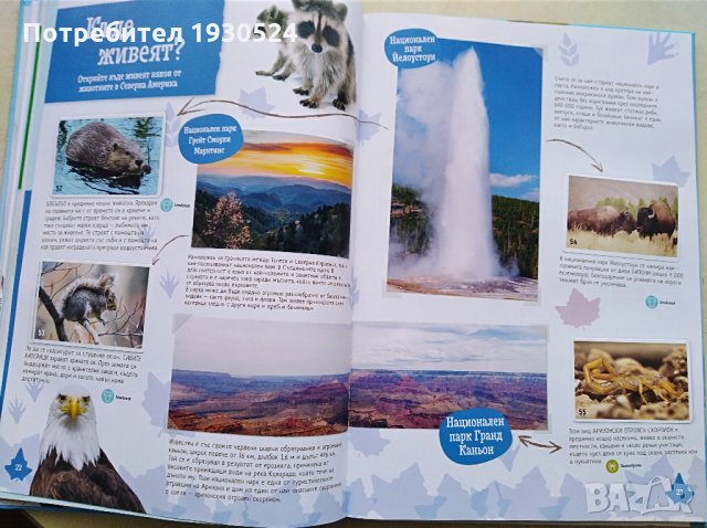 Колекционерски албум на Билла, снимка 7 - Колекции - 31797251