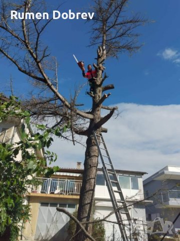 Професионално почистване на всякакви буренясали парцели, градини и къщи, дворове и всякакви други пл, снимка 10 - Други услуги - 32455705
