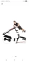 Пейка за коремни преси Bodyflex BF205, снимка 3