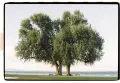 ЛЕГЕНДАРНИЯТ "OLYMPUS OM-2"- перфектен филмов комплект, снимка 8