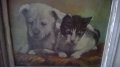 стара картина-коте и куче на дончо владков