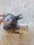 Моторче за задна чистачка за Астра В , снимка 1