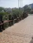 баварски маси от масов, снимка 2