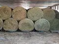 Продавам бали Люцерна 2026 , снимка 1