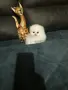 КОТЕНЦЕ МЕЧТА НА МАЛКИ И ГОЛЕМИ, снимка 6