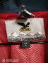 Salewa 3 in 1 Jacket women. , снимка 11