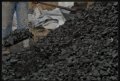 Въглища и пелети, снимка 2