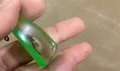 Истинско насекомо за ключодържател/ колекция, снимка 10