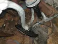 Предно окачване за Audi A4 B6 / B7, Seat Exeo (Шенкел, Макферсон, Носачи), снимка 17