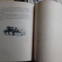 Каштанка,А.П.Чехов,1950г,детска книга , снимка 8 - Антикварни и старинни предмети - 40350604