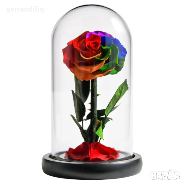 Вечна роза, снимка 1